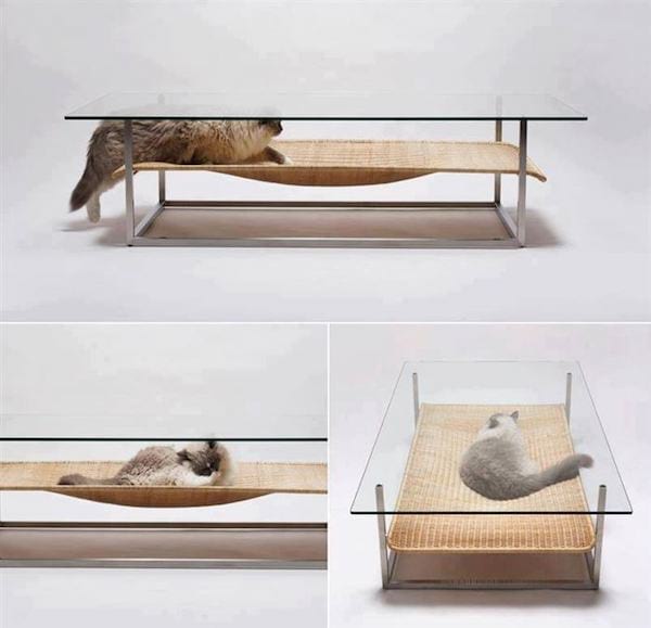 Un hamac pour chat sous une table transparente