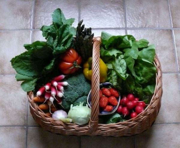 Des légumes colorés