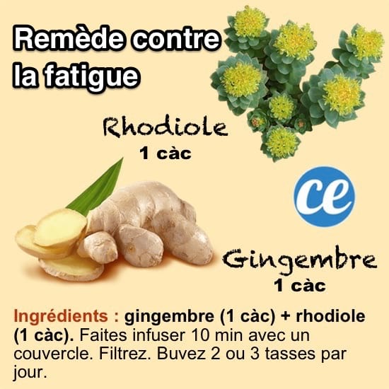 La recette d'un remède de grand-mère pour lutter contre la fatigue avec des infusions de plantes