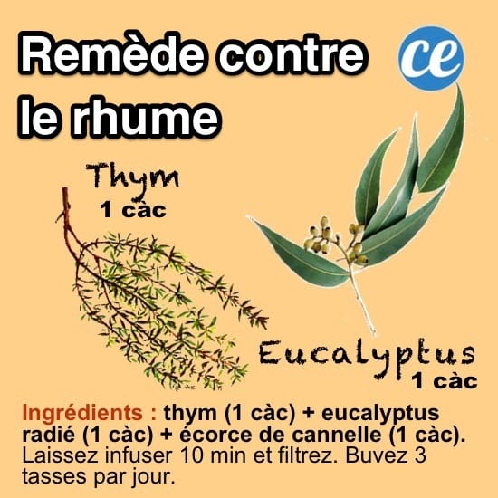 recette d'un remède de grand-mère pour soigner le rhume avec une infusion aux plantes
