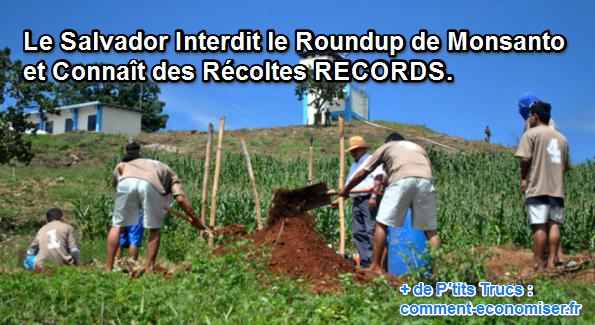 Le salvador interdit 53 produits phytosanitaires et connait d'excellentes r&eacute;coltes