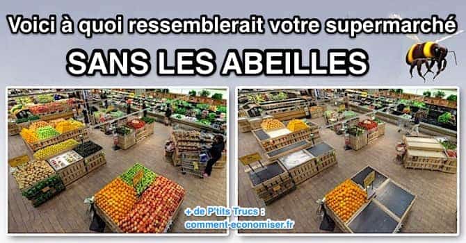 a quoi ressemblerait un supermarché sans les abeilles