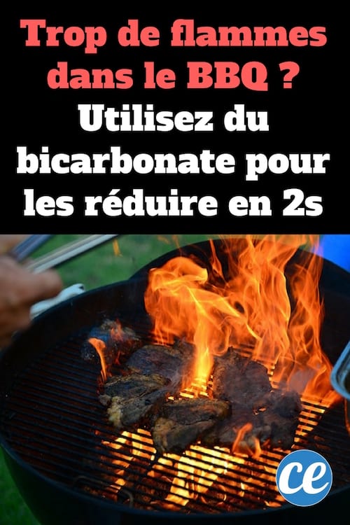 Les flammes de ce barbecue sont trop hautes