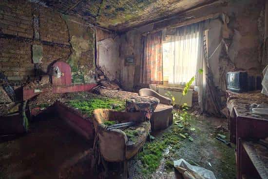 chambre hotel abandonnée et envahie par végétation