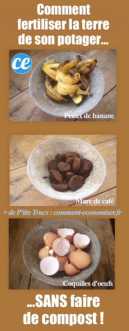 Comment fertiliser la terre de son potager sans bac à compost