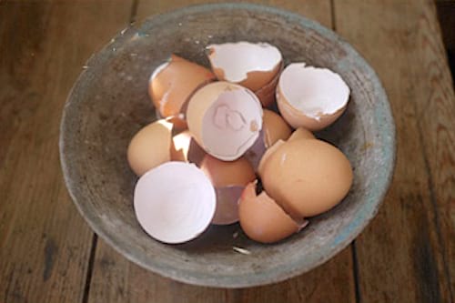 Utilisez des coquilles d'oeufs pour améliorer sol du jardin