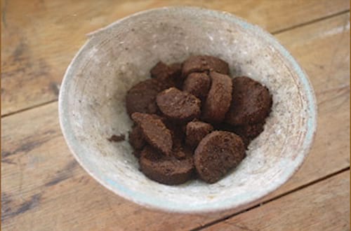 Utilisez du marc de café pour améliorer le sol dans le potager