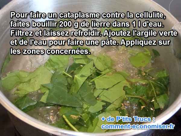 une décoction de lierre permet de faire un cataplasme pour atténuer la cellulite