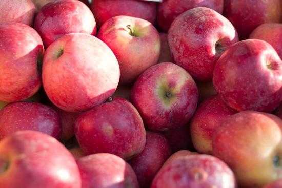les pommes sont un fruit de saison en avril