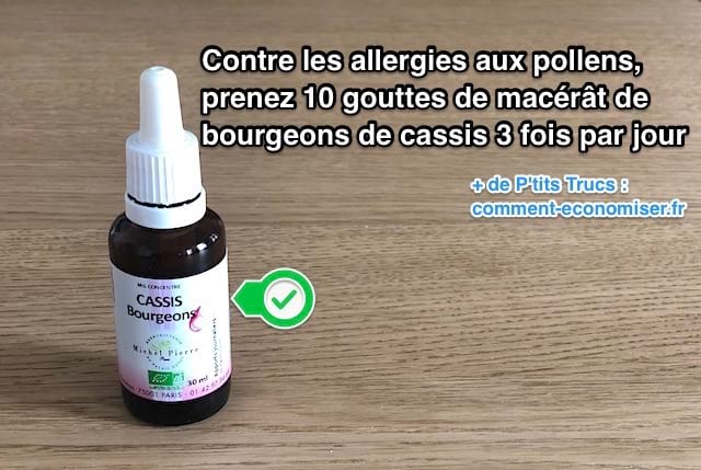 Contre les allergies aux pollens utilisez du mâcerat de bourgeon de cassis