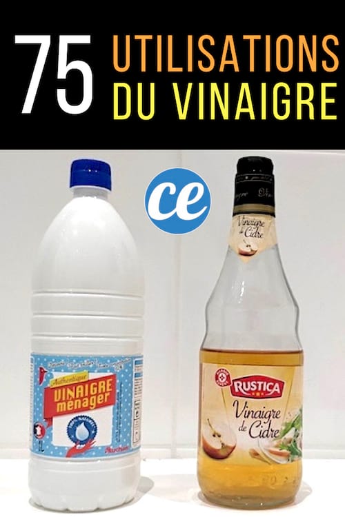 75 Utilisations Du Vinaigre Qui Vont Vous Simplifier La Vie