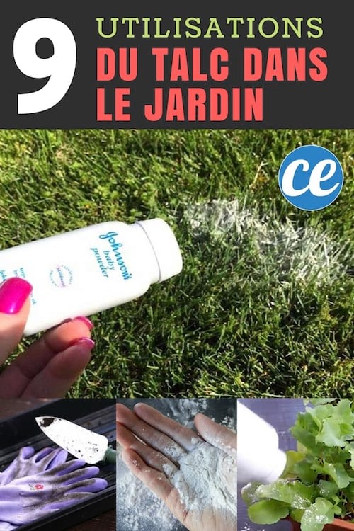 9 utilisations du talc dans le jardin