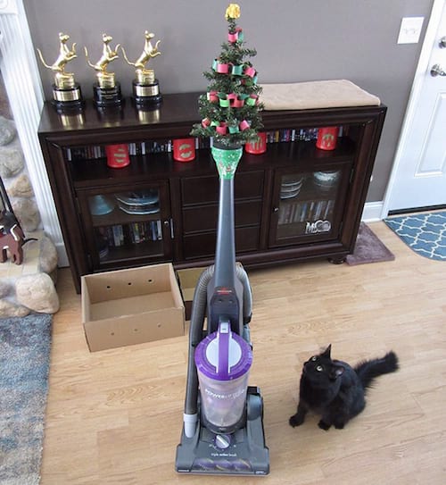 18 Photos De Gens Qui Ont Trouve Une Astuce Pour Proteger Le Sapin De Noel Du Chat Et Du Chien