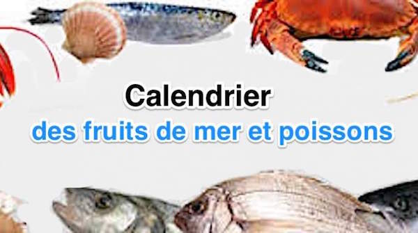 le calendrier des poissons et des fruits de mer pour les payer moins cher