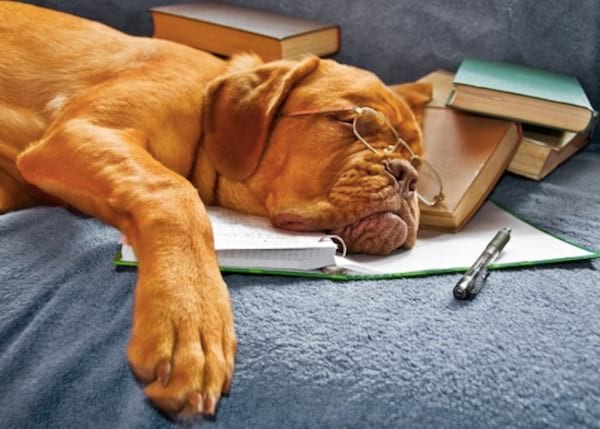 la deshydratation favorise la fatigue