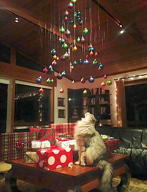 18 Photos De Gens Qui Ont Trouve Une Astuce Pour Proteger Le Sapin De Noel Du Chat Et Du Chien