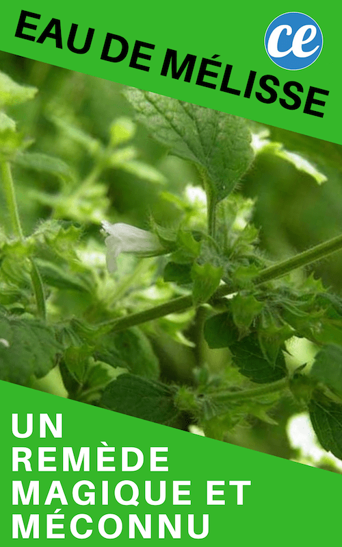 Un Remède Magique et Méconnu l