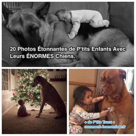 photos de bébés et d'enfants dormant ou jouant avec leur gros chien