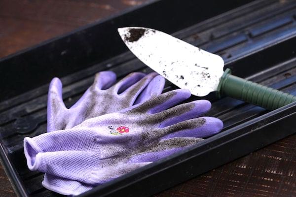 mettre du talc dans les gants pour que ça glisse mieux