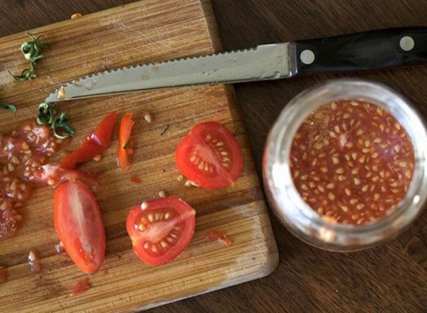 des tomates coupées en deux pour récupérer les graines