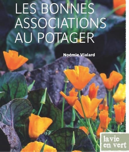 couverture du livre les bonnes associations au potager