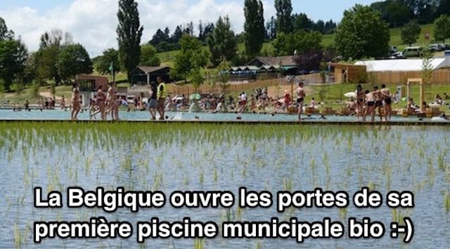 une piscine municipale bio avec une filtration naturelle en Belgique à Dour