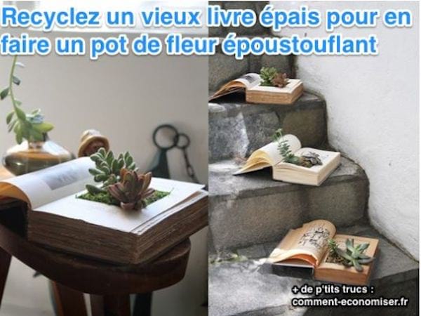 Des vieux livres recyclés en pots de fleurs.