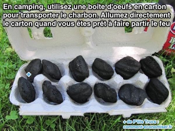 utilisez une boîte d'oeufs en carton  pour transporter le charbon