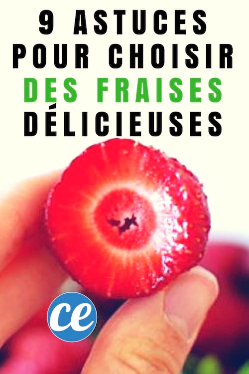9 astuces pour choisir des fraises délicieuses à tous les coups