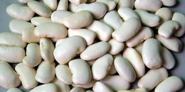L'extrait d'haricots blancs empêche la transformation des glucides en sucres.