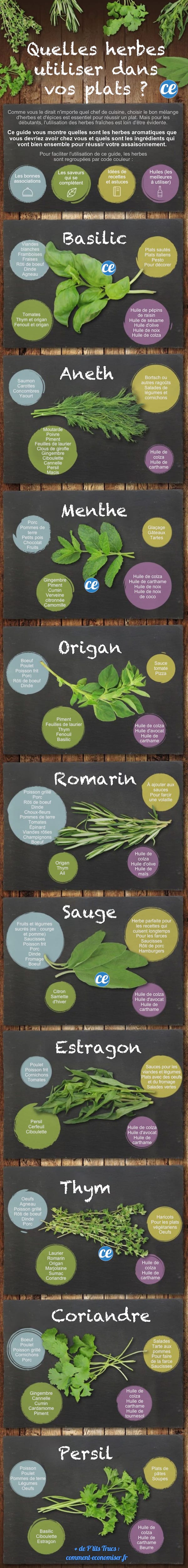Tableau des utilisations des herbes aromatiques dans les plats