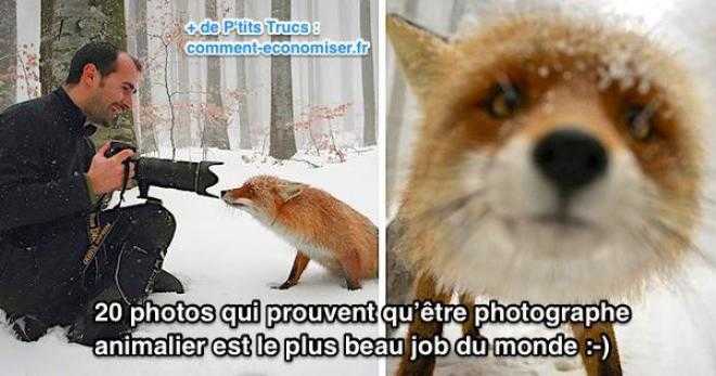 le plus métier du monde : photographe animalier