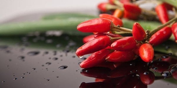 La capsaïcine coupe l'appétit — et augmente le métabolisme.