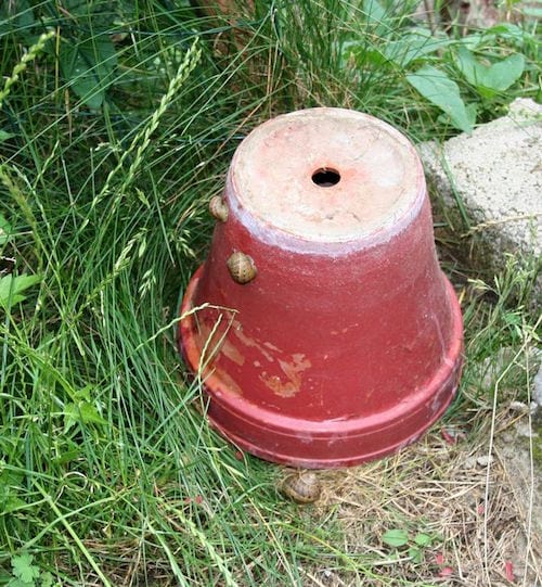ein umgestürzter Blumentopf im Garten