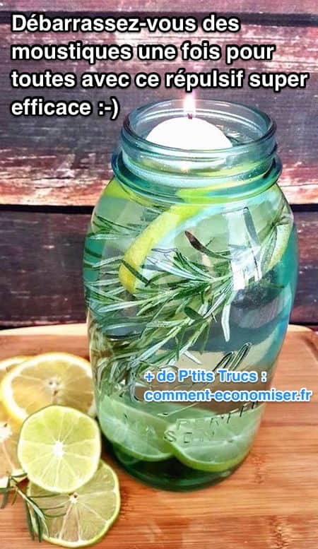 Répulsif naturel et efficace contre les moustiques