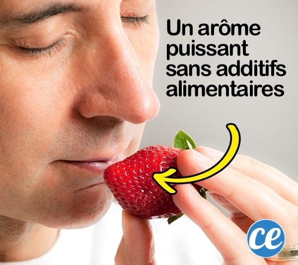 un homme sent une fraise qui a un arôme puissant sans additifs