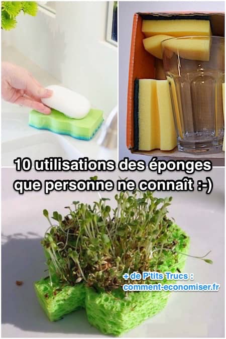 10 façons d'utiliser des éponges sans faire le ménage