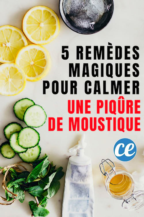 5 Remèdes Magiques Pour Calmer Une Piqûre De Moustique Instantanément.