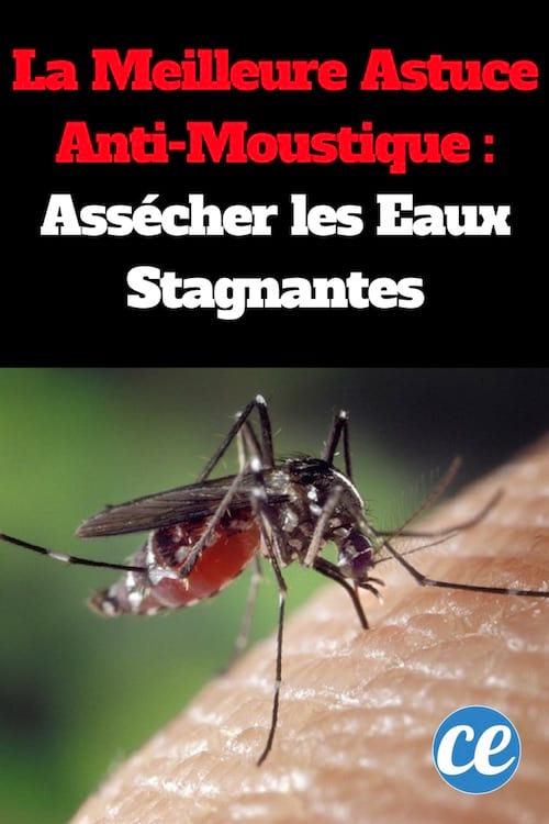 assécher les eaux pour éliminer les moustiques