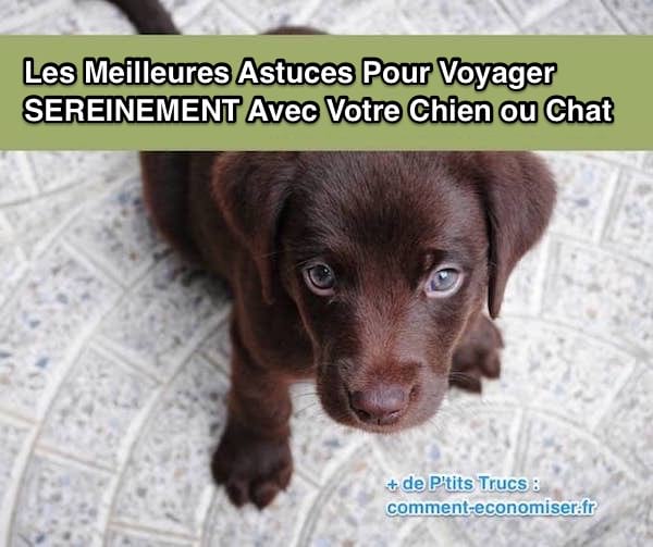 Les Meilleures Astuces Pour Voyager SEREINEMENT Avec Votre Les Meilleures Astuces Pour Voyager SEREINEMENT Avec Votre
