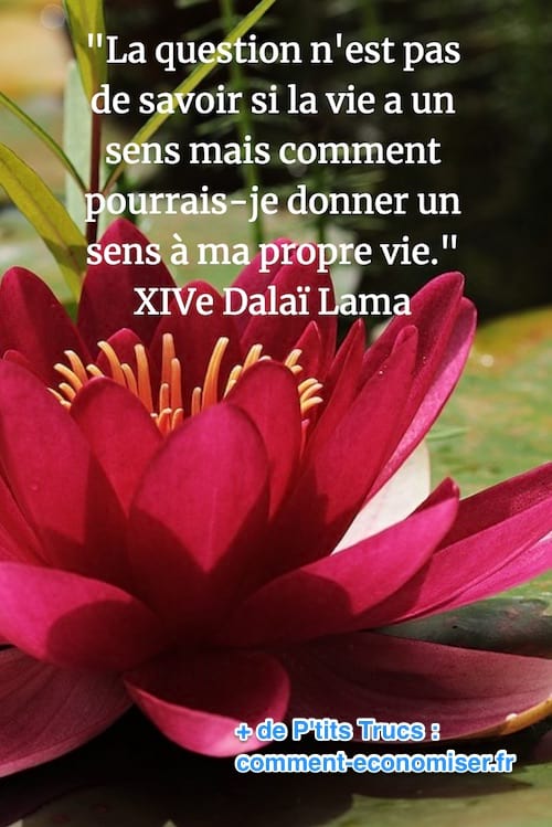 citation du dalai lama sur le sens de la vie