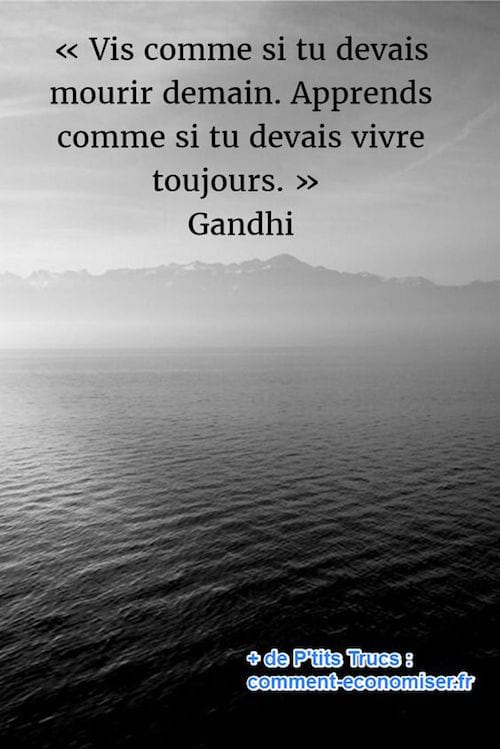 Citation Sur La Deuxième Vie