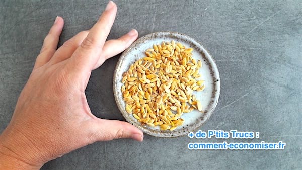 des graines de melons grillées et salées pour l'apéro