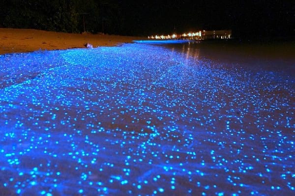 La plage bioluminescente de l'île de Vaadhoo, Maldives