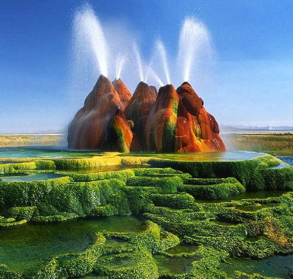 le fly geyser nevada aux États-Unis