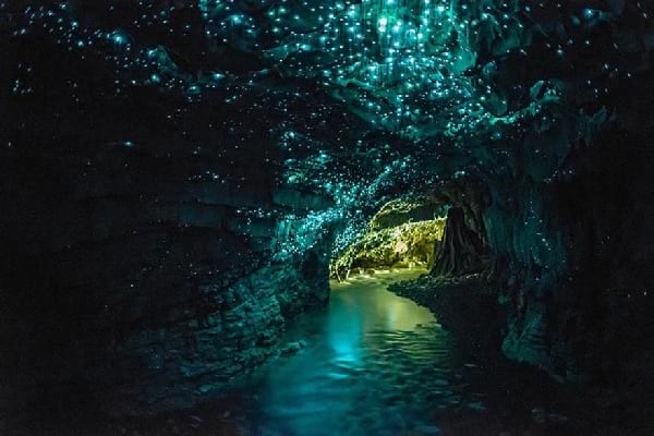 Les grottes de vers luisants de Waitomo en Nouvelle-Zélande