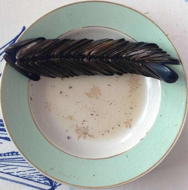 Coquilles de moules emboitées dans une assiette