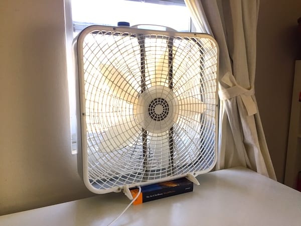 Des ventilateurs pour se rafraîchir sans clim en été.