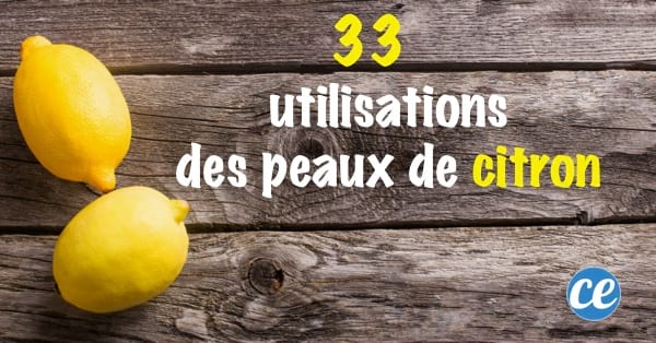 Ne Jetez Plus Vos Peaux De Citron 33 Utilisations Etonnantes Que Personne Ne Connait