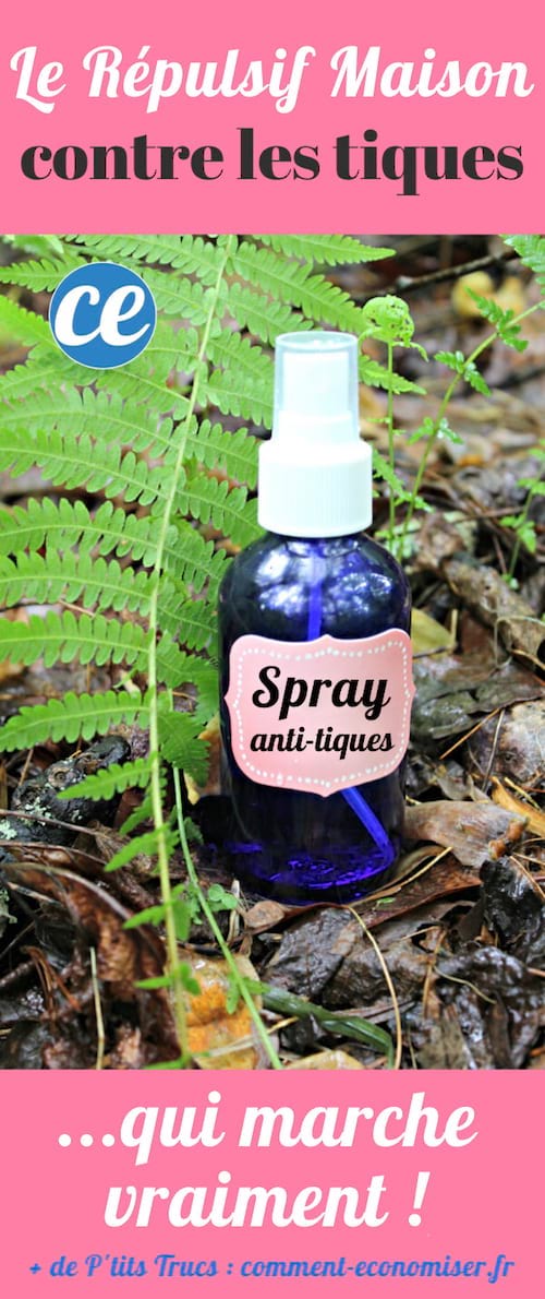 La recette de répulsif naturel contre les tiques.